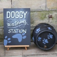 a dog bowl stand for dog friendly retail shops