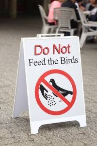 do not feed the birds signage